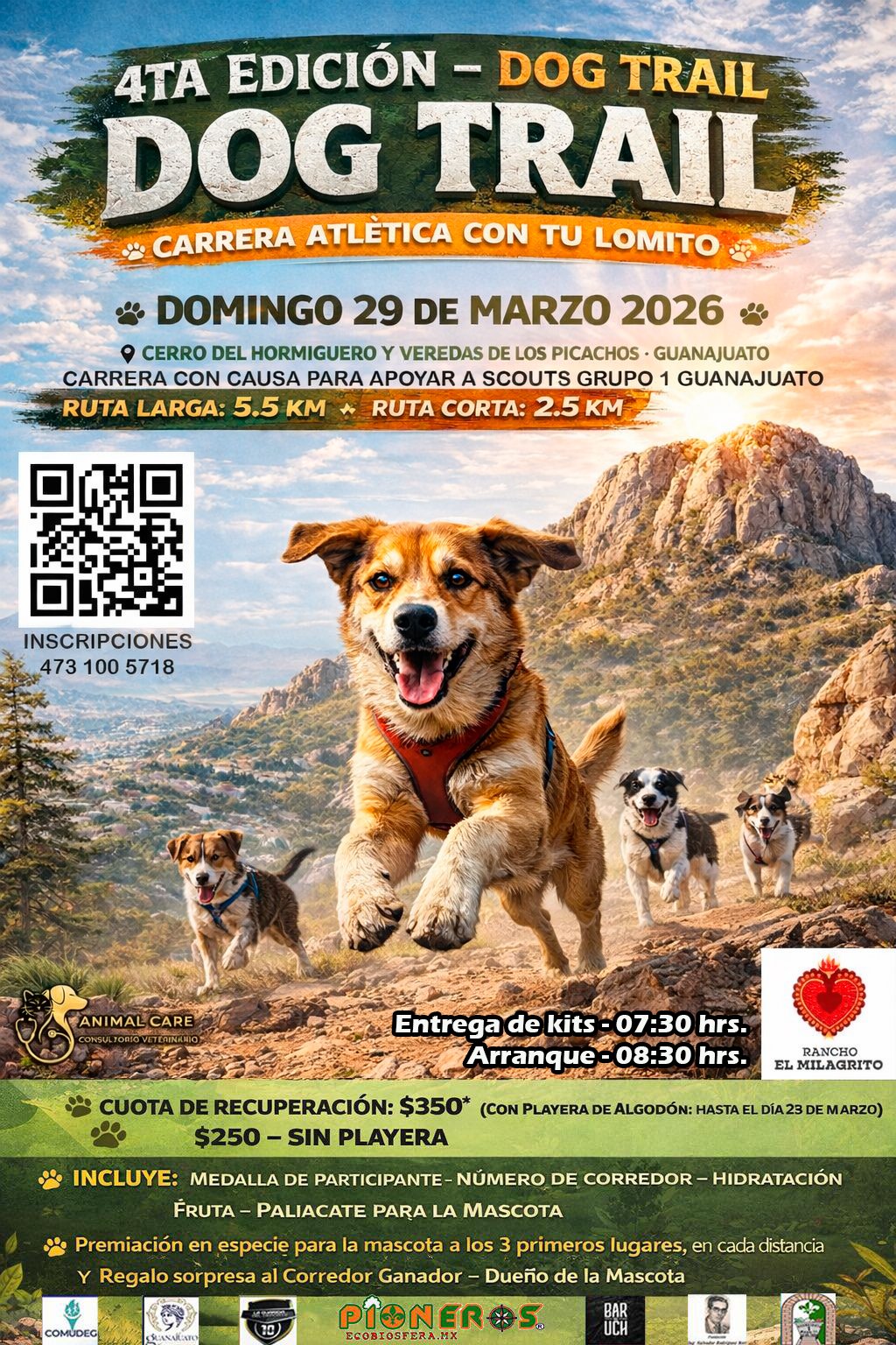 DogTrail